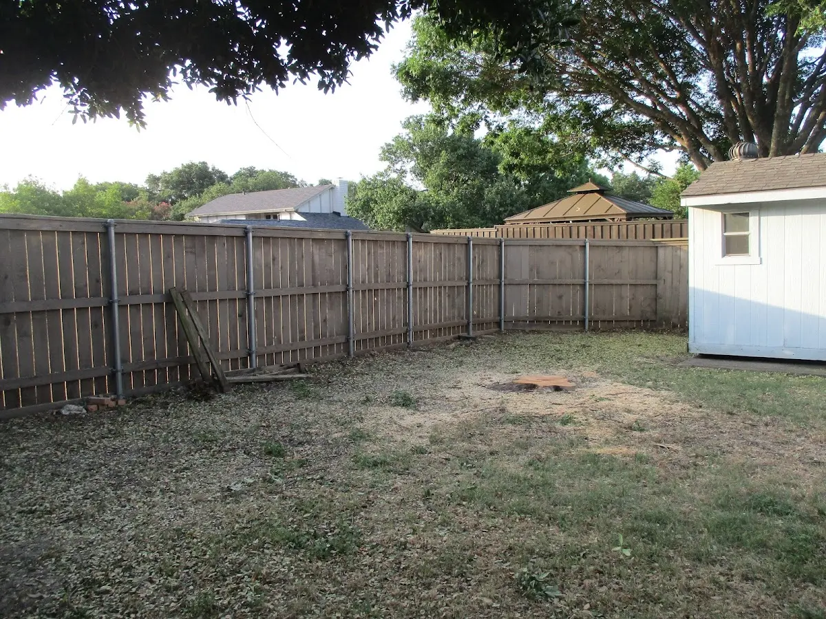 Cleared yard after professional tree removal in Weikert